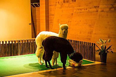 星际争霸精神续作《风暴之门》15分钟完成众筹